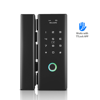Tuya APP/Fingerprint/IC Card/Wireless Door Lock with Doorbell with Keys নিরাপত্তা
